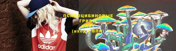 дмт Баксан